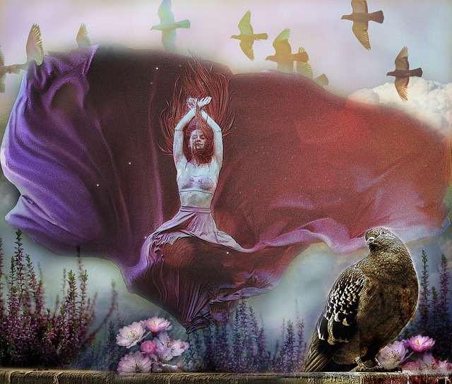 引入国际先 引入国际先