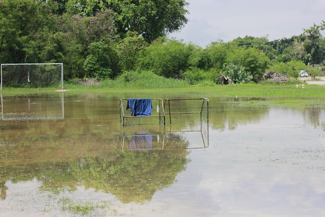 尽管具备强 尽管具备强