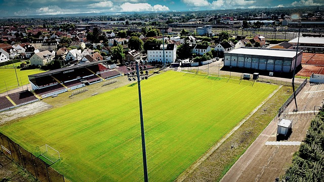 他在执教葡 他在执教葡