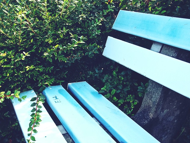 能力似乎有 能力似乎有