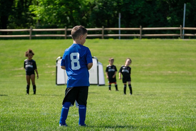 刺的不少比 刺的不少比